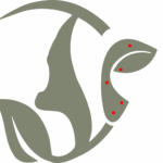 Sevrage alcool au laser