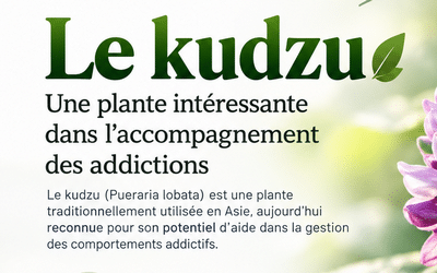 Le kudzu, une plante intéressante dans l’accompagnement des addictions🌿